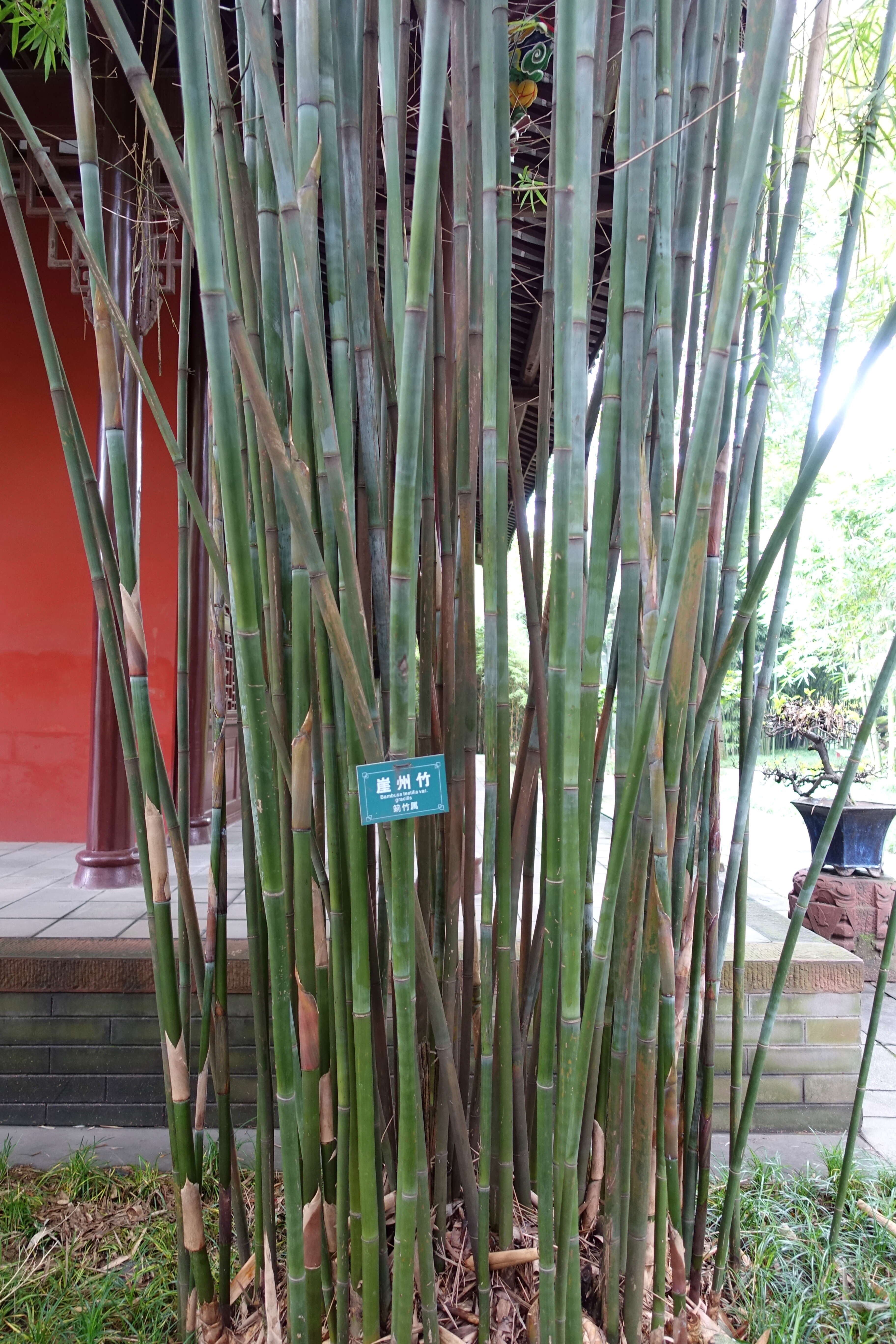 Image of textile bamboo