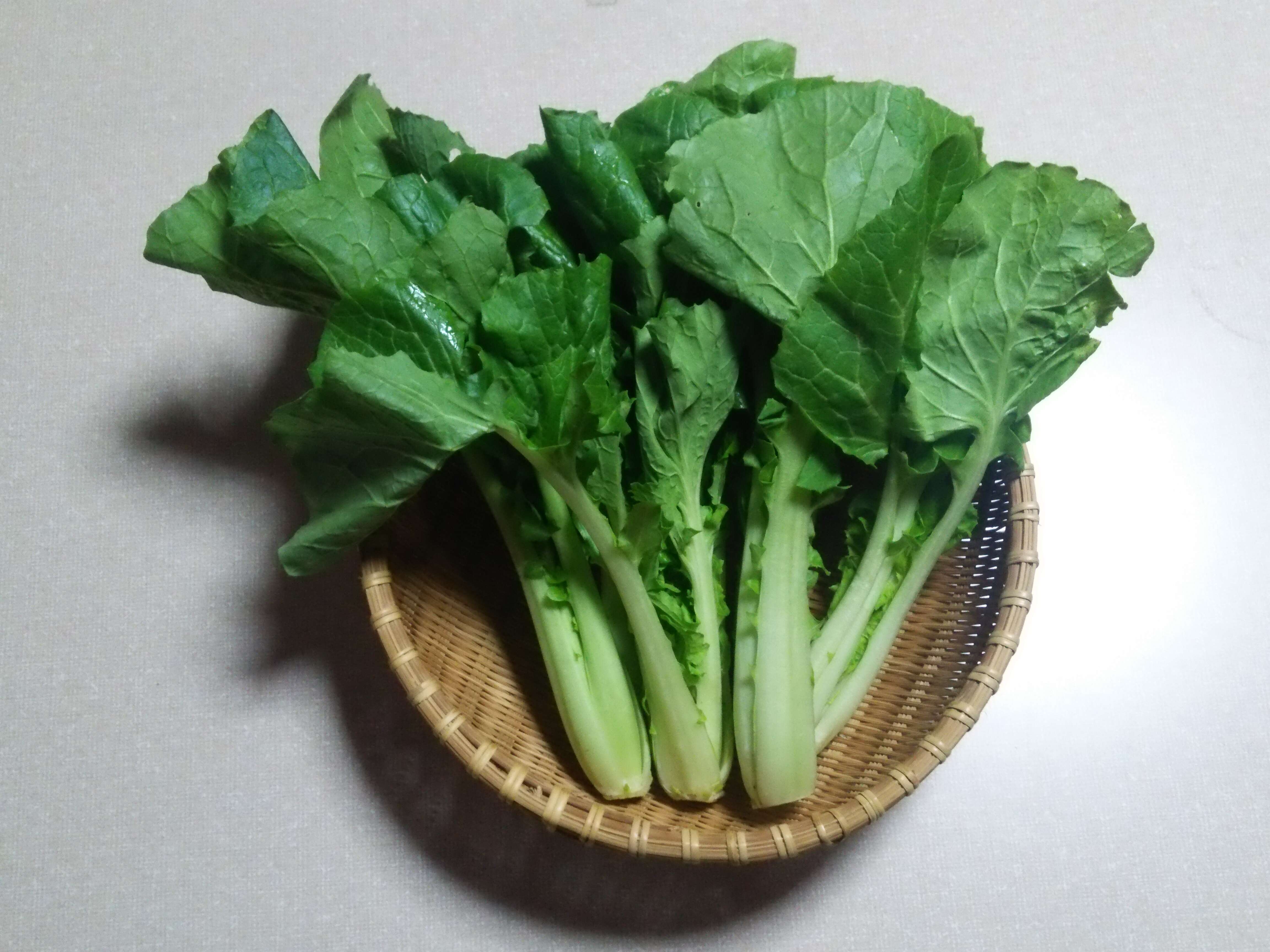 Image of Brassica rapa subsp. oleifera